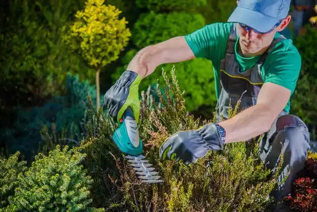 landscaping services Lacombe